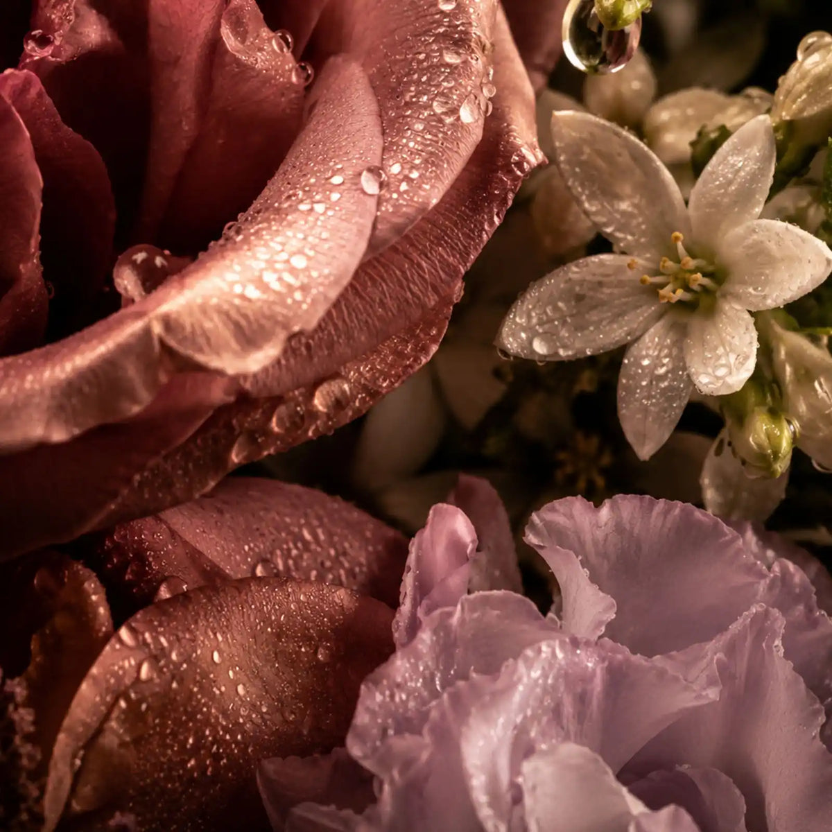 Floral Family