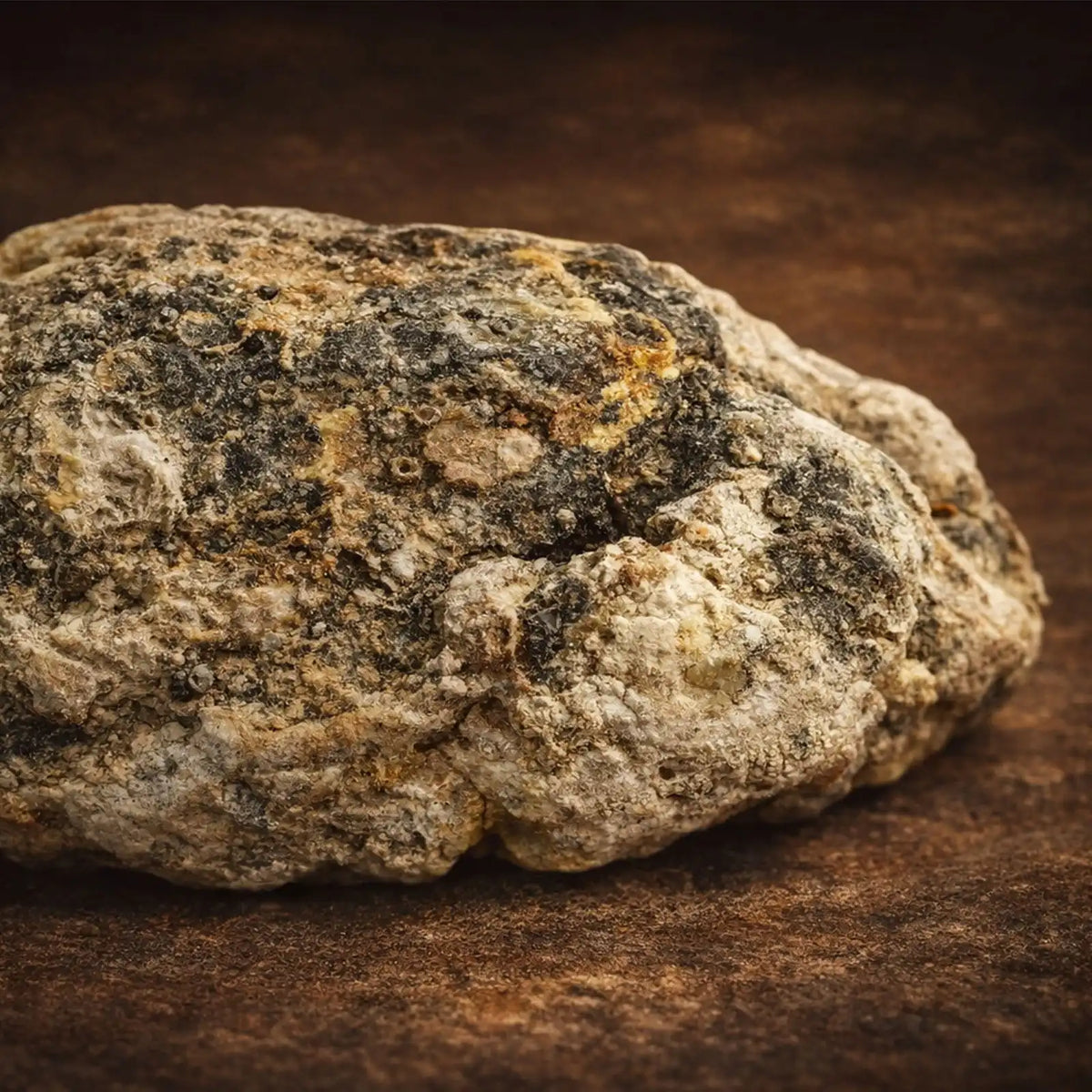AMBERGRIS