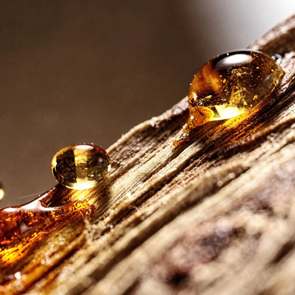 AMBERWOOD