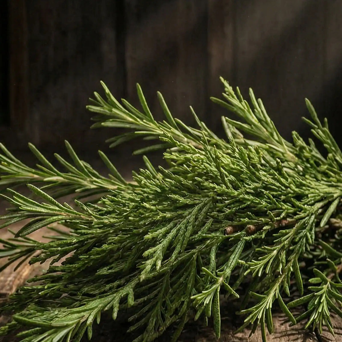 CYPRESS