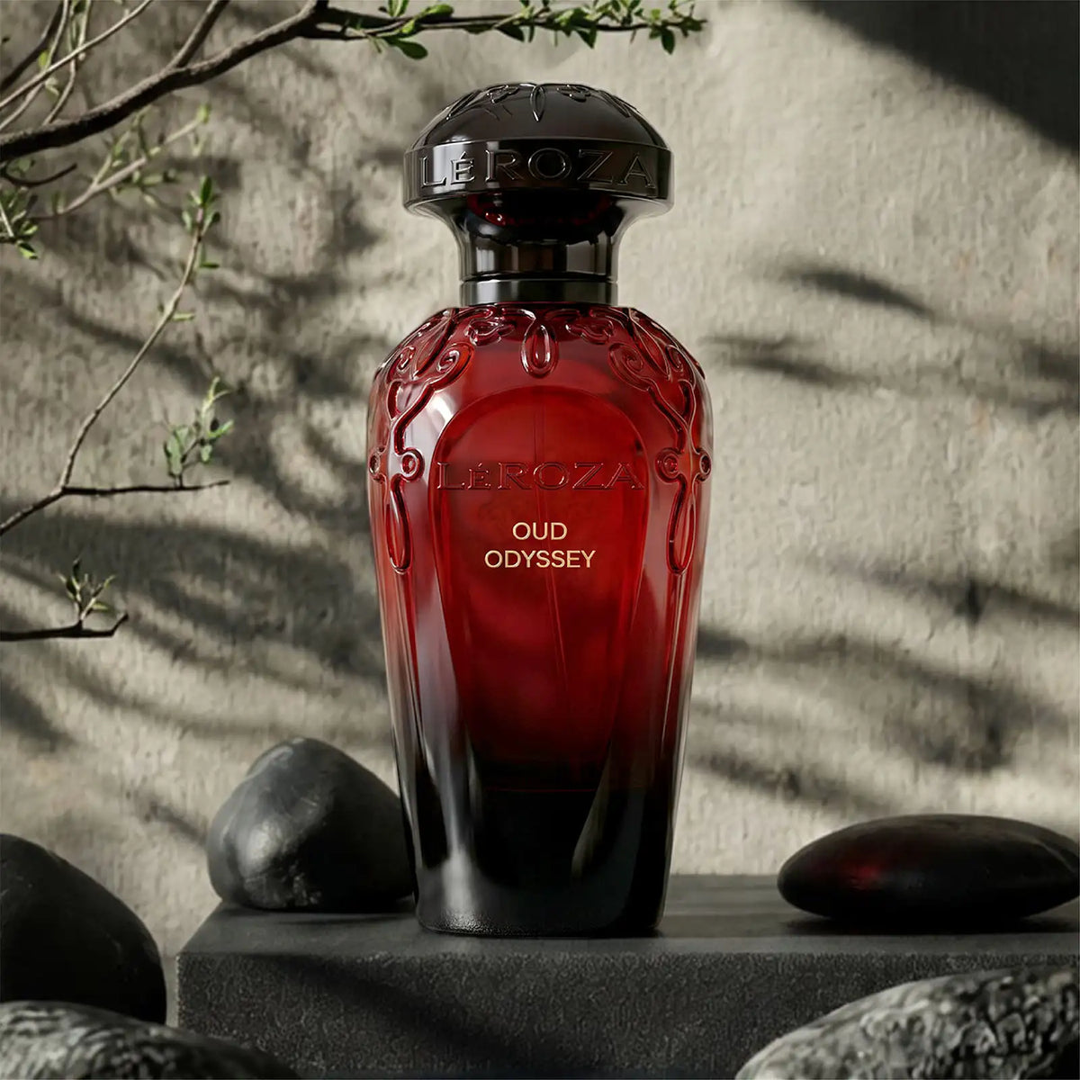 Oud Odyssey