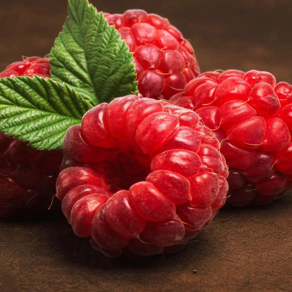 RASPBERRY